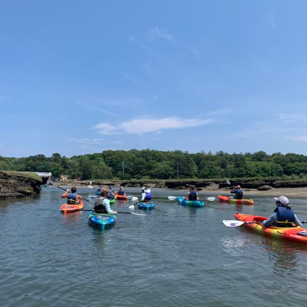 A kayak tour enters a beautiful marsh on Cape Cod with RideAway Adventures