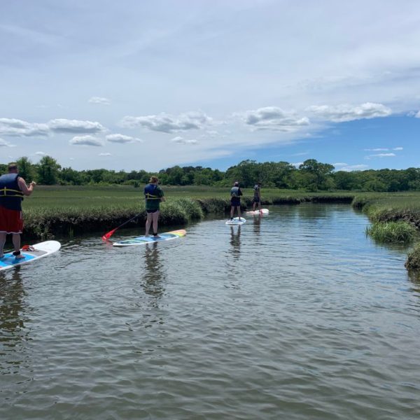 People on paddleboards glide through a beautiful marsh on Cape Cod during a private tour with RideAway Adventures