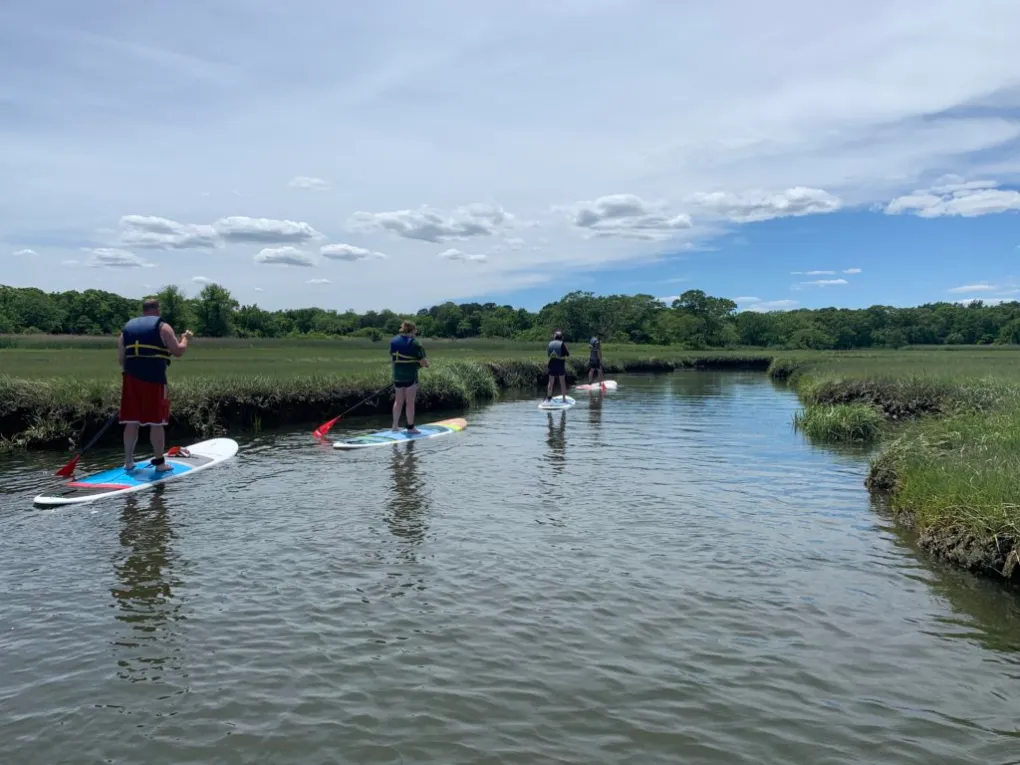 People on paddleboards glide through a beautiful marsh on Cape Cod during a private tour with RideAway Adventures
