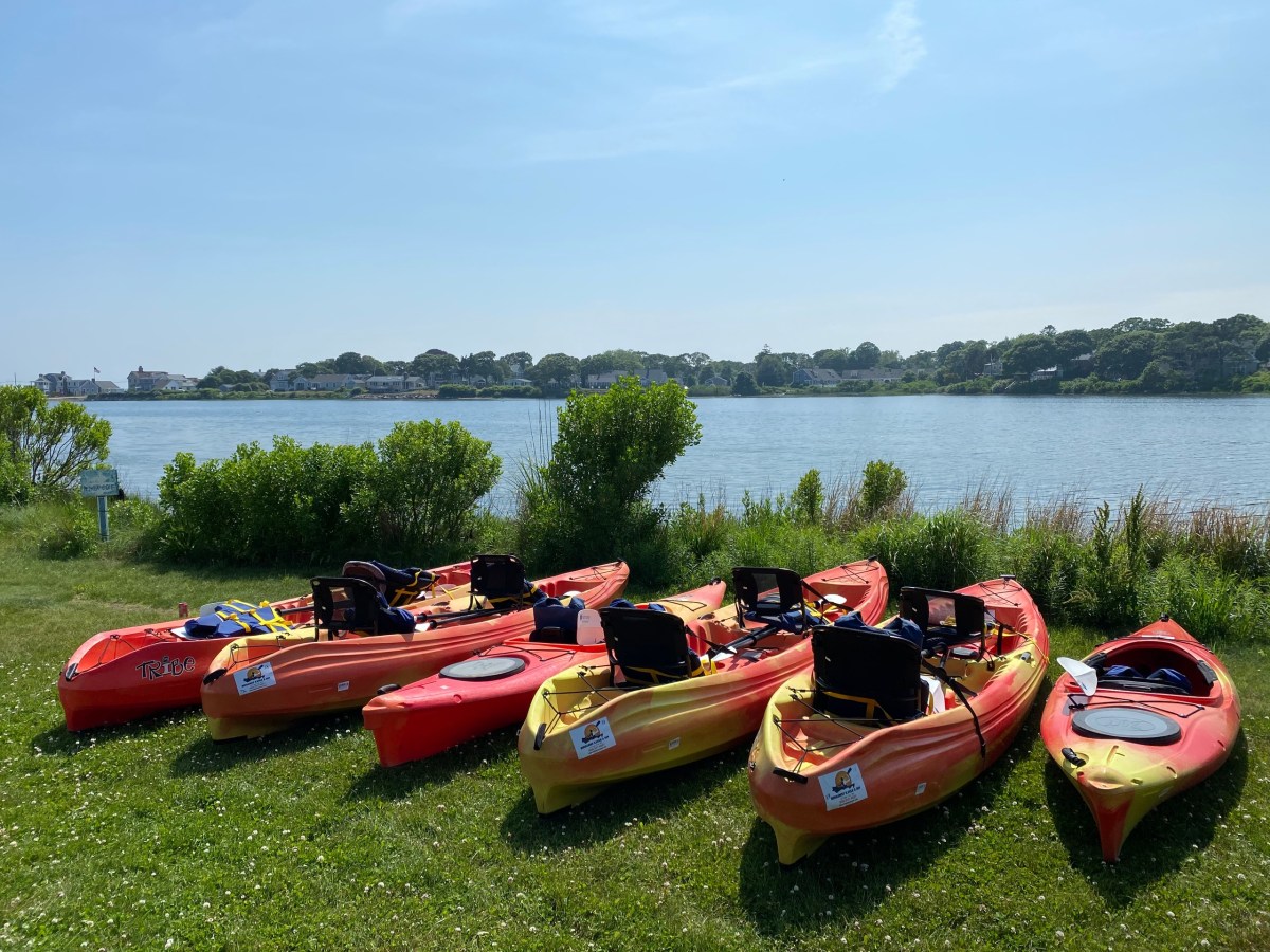 One-Day Rentals, Delivery Image 1 A group of rental kayaks awaits passengers near the water on Cape Cod