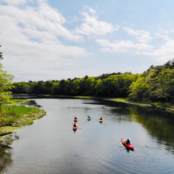 RideAway Adventures offers many kayak tours and lessons through Falmouth, Mashpee and Sandwich waterways