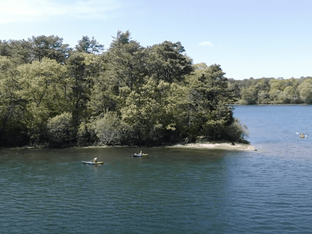 Explore Sandwich at Lawrence Pond, a great spot for beginner kayakers or first time paddleboarders with RideAway Adventures of Cape Cod