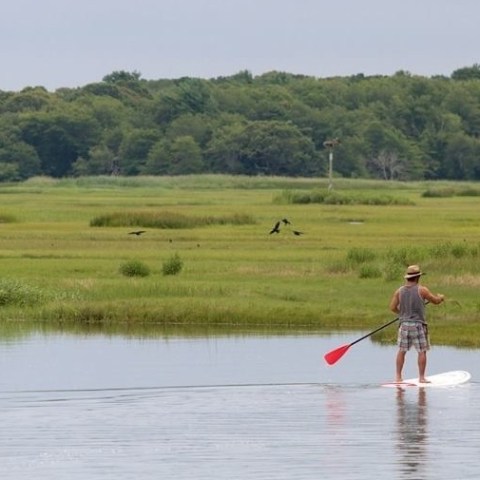 A man on a paddleboard rental experiencing the Walk on Water Nature Tour with RideAway Adventures