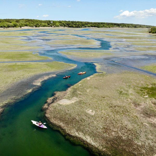 View the diverse Cape Cod ecosystem through new eyes with a kayak tour or lesson with RideAway adventures