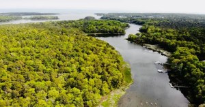 a large body of water surrounded by trees