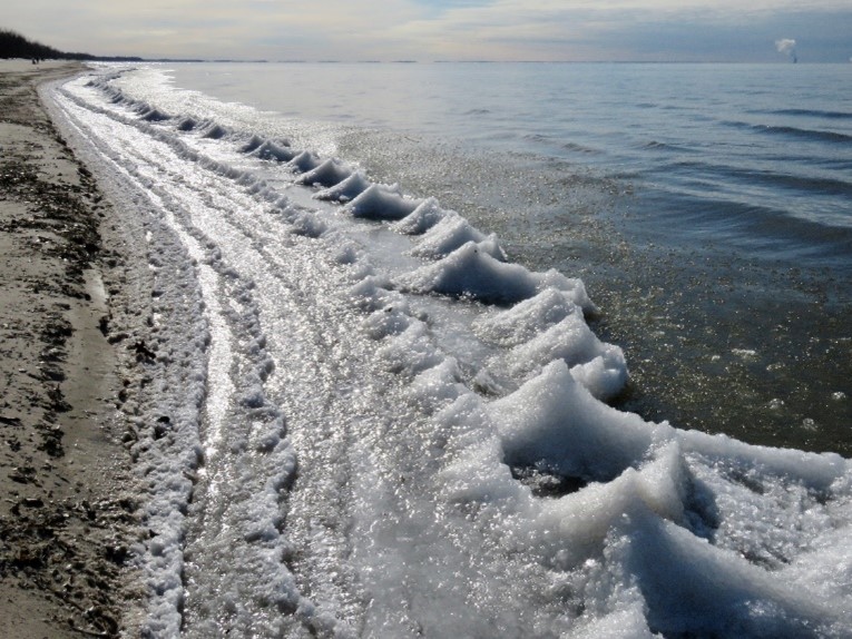 cover-shot Learn how to navigate winter on Cape Cod with RideAway Adventures