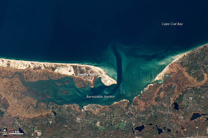 capecod_ali_2005308 map
