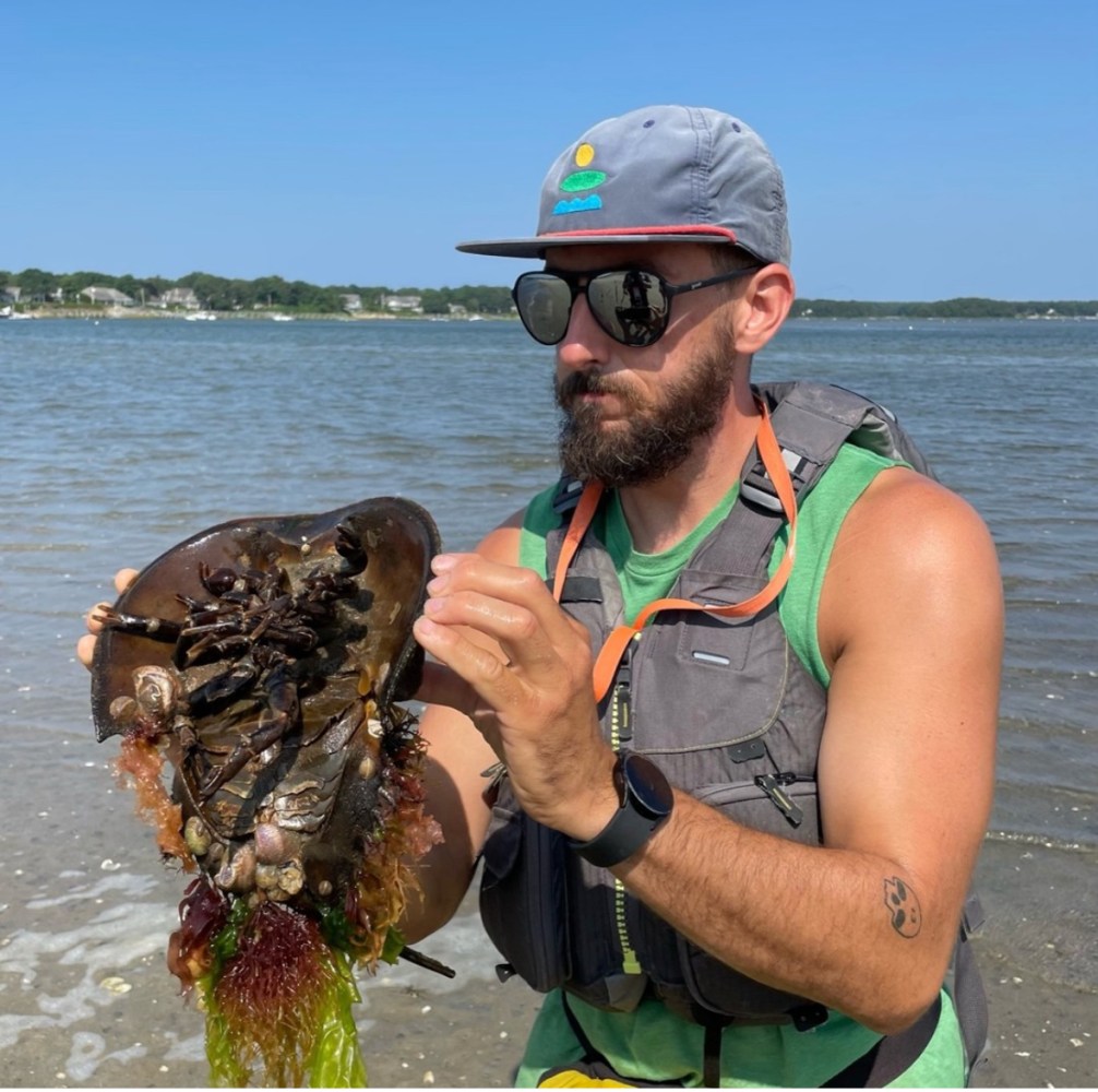 A man on a Rideaway Kayak tour examines a hoursecrab found on the beach.