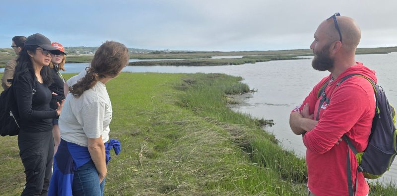 Group of people talking by a lake in an open grassy area.