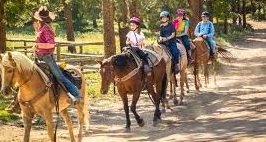 Group of people on a trail ride through a wooded area with horses.